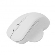 Mouse ottico wireless 6D 800 - 1600 DPI con scroll Bianco - SBOX - ICSB-WM549WH