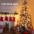 Catena Luminosa Natale Controllo Vocale Alexa 20m Bianco Caldo, R5151 - WOOX - IC-WO5151-4