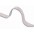 Cavo Piatto Awg 28 Cavo AWG28 40 poli 30,5 m - OEM - IAWG 28-40-G-0