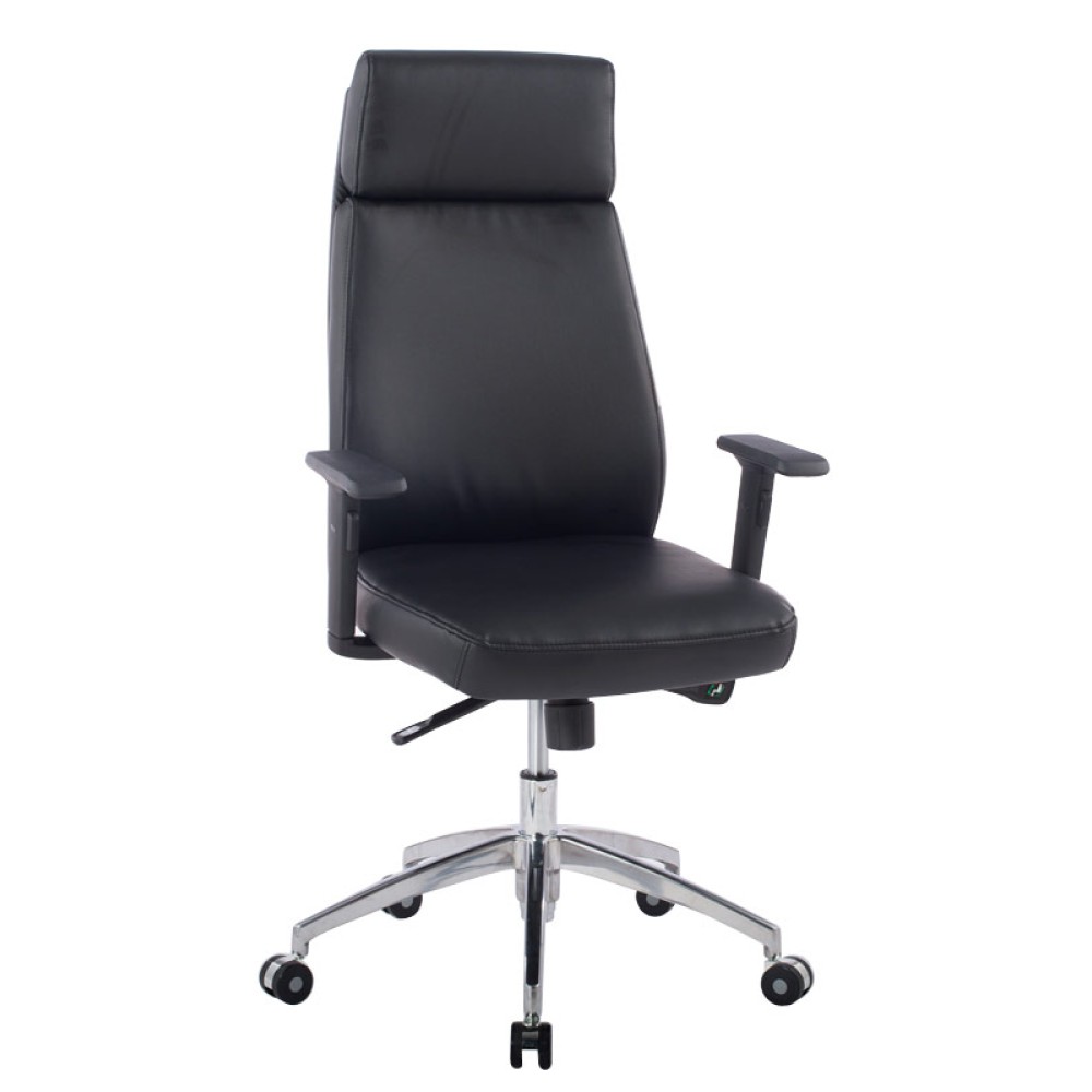 Executive Armchair with Armrests, Black - TECHLY - ICA-CT 073BK