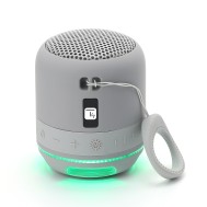 Wireless Portable Speaker with Speakerphone and LED Lights Gray - Techly - ICASBL94GR