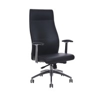 Executive Armchair with Armrests, Black  - Techly - ICA-CT 051BK
