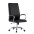 Executive Armchair with Armrests, Black  - TECHLY - ICA-CT 002BK-1