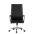 Executive Armchair with Armrests, Black  - TECHLY - ICA-CT 002BK-0