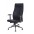 Executive Armchair with Armrests, Black  - Techly - ICA-CT 051BK-2