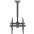 Telescopic Universal Ceiling Support for 2 TV LED LCD 32-55" - Techly - ICA-CPLB 944D-7